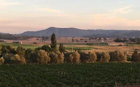 Tranquil Vale Vineyard